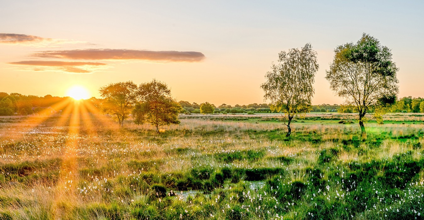 Banner In het Groen - zomer 2023.jpg